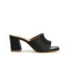 black 4 ICONICS Women Brown Block Heels