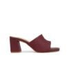 maroon 4 ICONICS Women Brown Block Heels