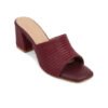 maroon 6 ICONICS Women Brown Block Heels